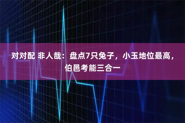 对对配 非人哉:盘点7只兔子,小玉地位最高,伯邑考能三合一