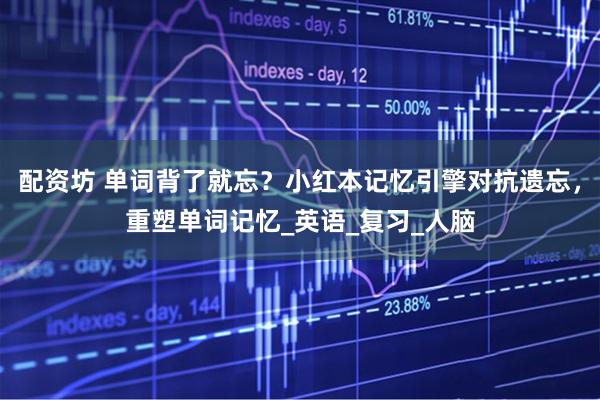 配资坊 单词背了就忘？小红本记忆引擎对抗遗忘，重塑单词记忆_英语_复习_人脑